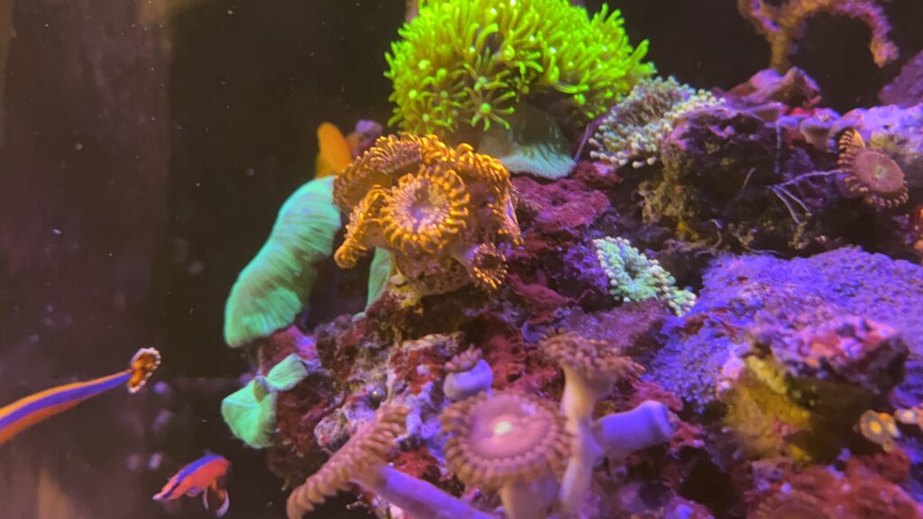 IMG-20250430-WA0042