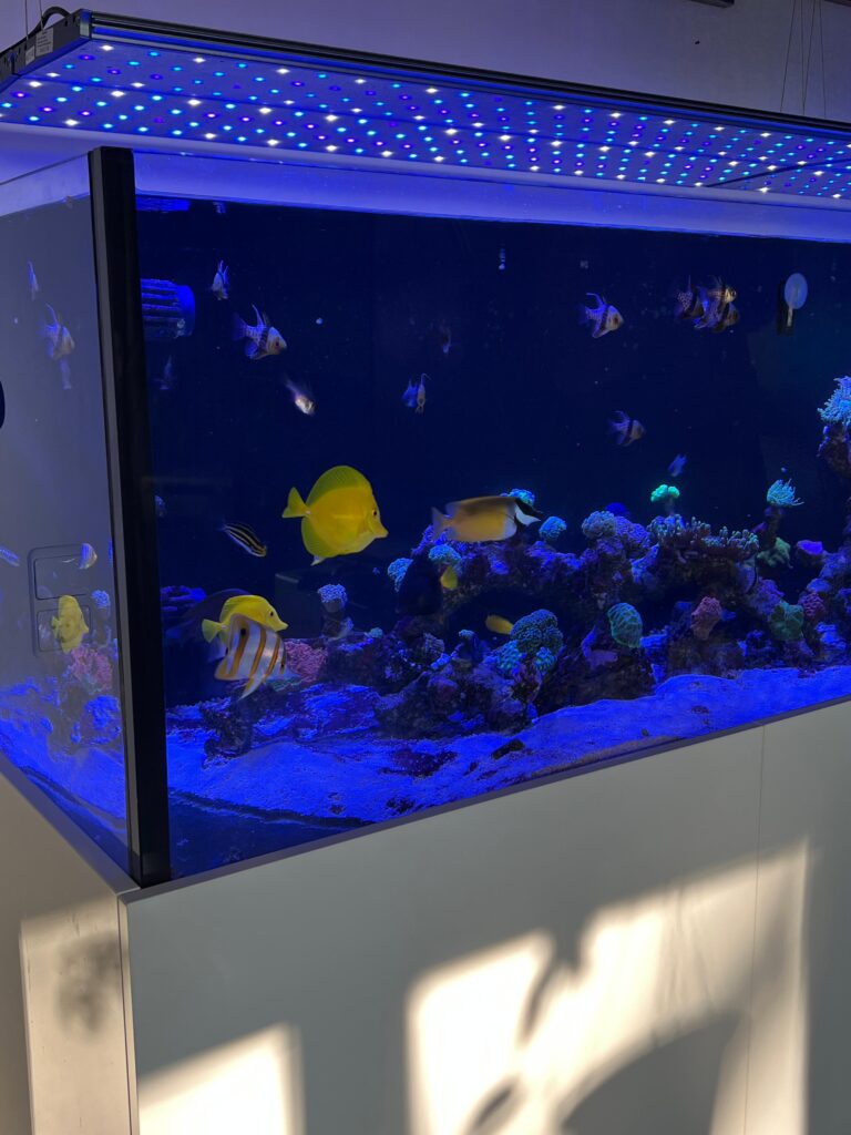 IMG-20250430-WA0049